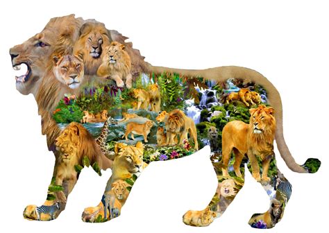 Lions Roar 1000 Pieces Sunsout Puzzle Warehouse