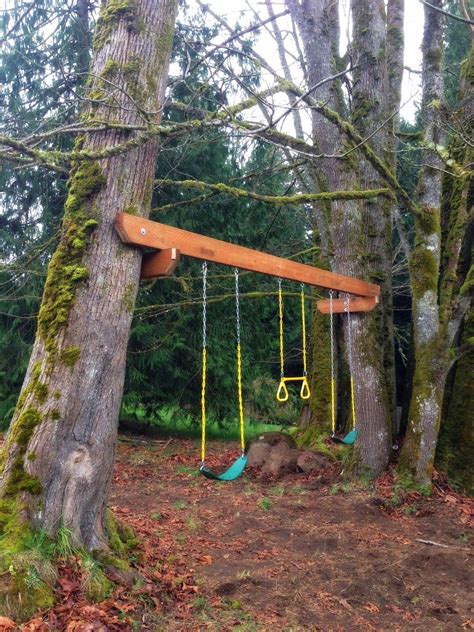 Good prospects include beech, oak, and maple. Spring Break Tree Swing Project | Tree swing, Backyard play