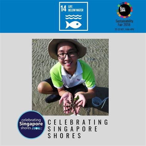 Celebrating Singapore Shores 22 23 Oct Sustainability Fair 2018 By