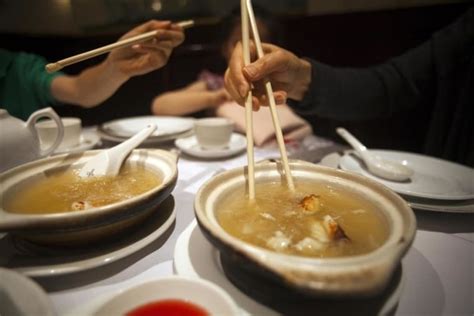How Shark Fin Soup Is Turning Sour And Why Thats Sweet For Us Humans