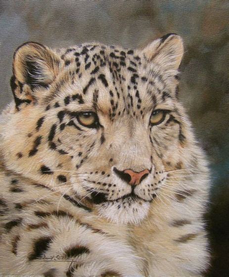 Snow Leopard Painting By David Stribbling Leopard Painting Snow