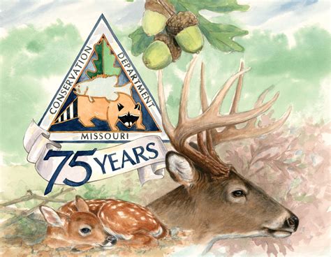 Celebrate Milestone Years With Mdc At Missouri State Fair Missouri Department Of Conservation