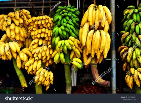 1131 Kerala Banana Tree Images Stock Photos And Vectors Shutterstock