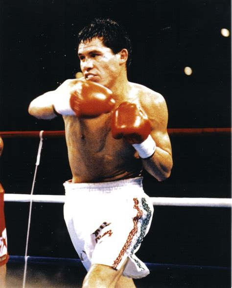 Julio Cesar Chavez World Boxing Champion Mexico Julio César Chavez