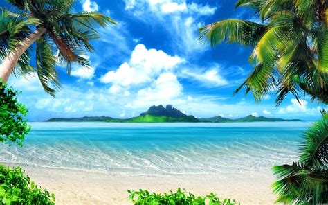 Ocean Landscapes Nature Beach Seas Paradise Islands Palm Trees