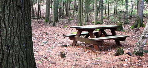 5 Original Ideas For Picnic Locations Groomed Home