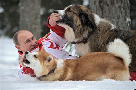 Vladimir Putin Dog Photo Russian President Poses With Dogs In Snow In