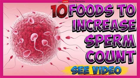 Top 10 Food That Increases Sperm Production Youtube