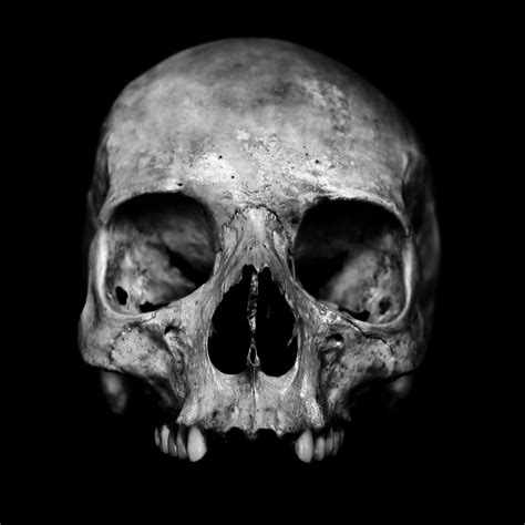 Smile! - Human skull on black background. | Human skull photography