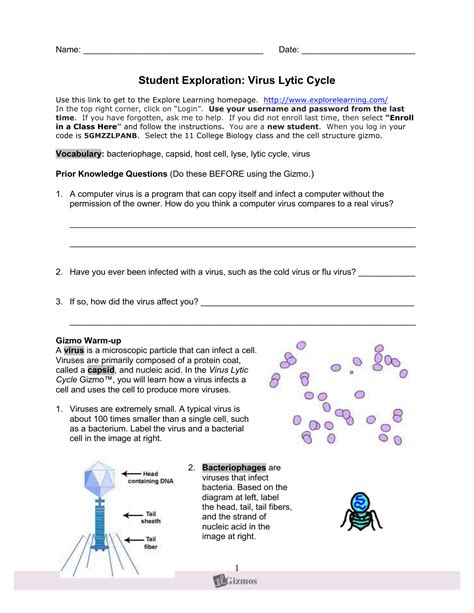 The length of the cell cycle can be controlled, and data related to the number of cells present and their current phase can be recorded. Cell Division Gizmo Answer Key Activity B : The Cell Cycle Key - Get cell division answer key ...