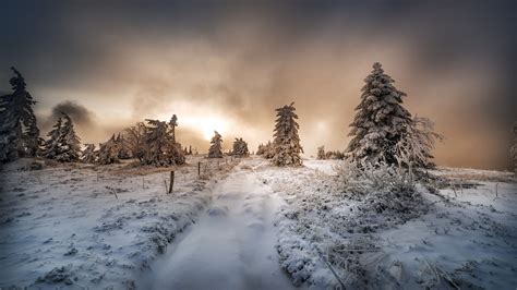 Snow Covered Landscape And Trees In Background Of Clouds Hd Winter