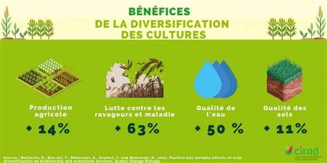 Diversifier Les Cultures Booste La Production La Biodiversité Et Les