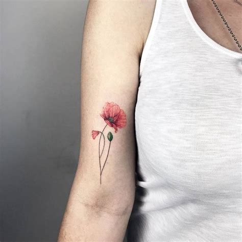 60 Beautiful Poppy Tattoo Designs And Meanings Tattooadore Red