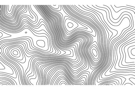 topographic map contour background topo map with elevation contour map vector geographic