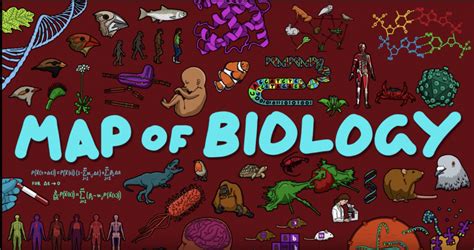 The Map Of Biology Animation Shows How All The Different Fields In