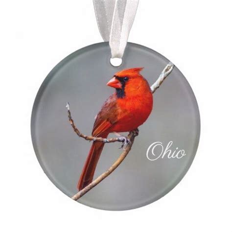 Northern Cardinal Ohio Acrylic Ornament Zazzle