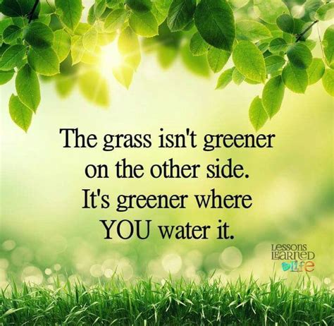 The Grass Isnt Greener On The Other Side Its Greener Where You Water It Lessons Learned In