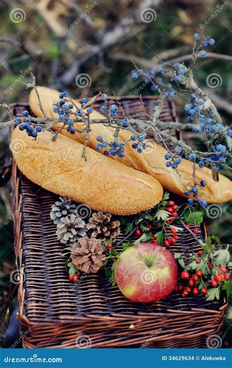 Still Life Of Autumn Picnic Stock Photo Image Of Real Outdoors 34629634