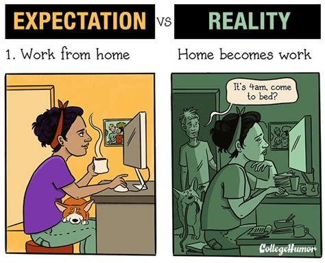 Astonishing Compilation Of Hilarious Work From Home Images In Full 4k