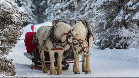 Christmas Instrumental Music The Most Popular Christmas Carols Winter Sleigh Ride Youtube