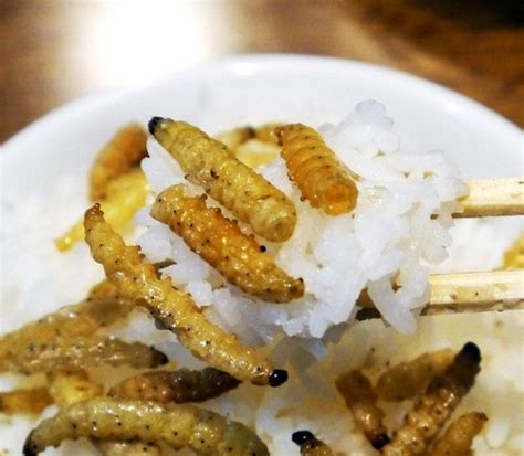 Disgusting Chinese Food 7 Pics