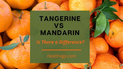 Tangerine Vs Mandarin Is There A Difference Healthagy