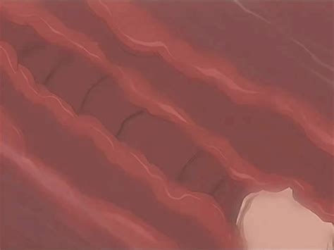 Tokubetsu Byoutou Animated Animated Gif S Anal Futa With Female Futanari Penis Sex