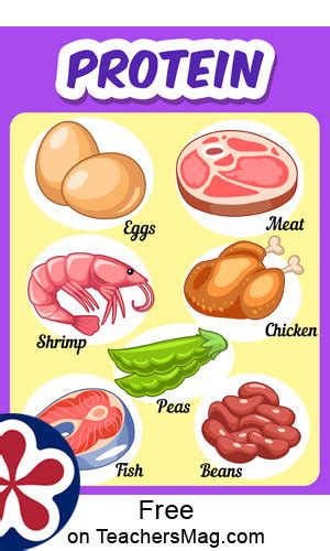 Free Food Group Posters