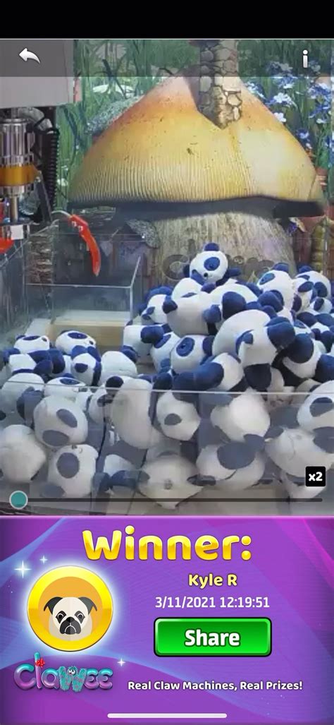 Just Got A Double Mini Panda Win From My First Ever Attempt Rclawee