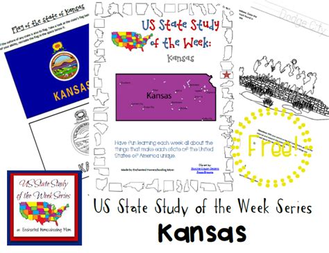 How To Homeschool Your Child In Kansas Sydney Musgroves 1st Grade