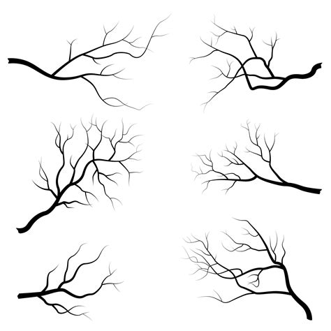 Tree Branch Set 1266943 Vector Art At Vecteezy