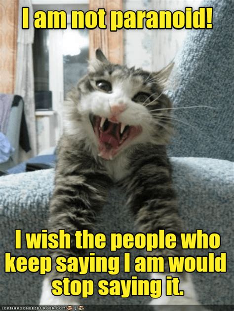 Two Noids Make A Paranoid Lolcats Lol Cat Memes Funny Cats