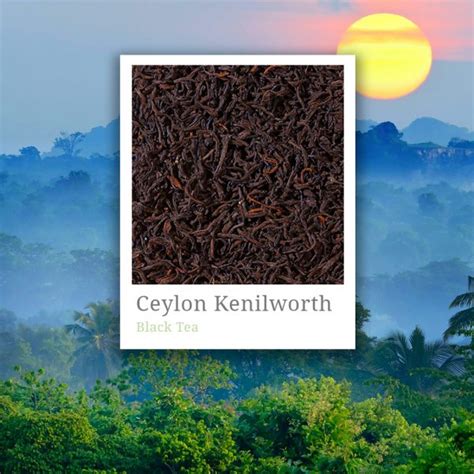 Ceylon Kenilworth Tea Fuji Speciality Tea And Coffee