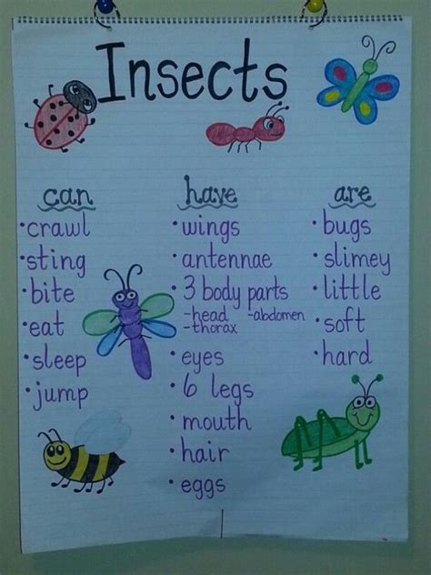 Insects Anchor Chart Lifescience Life Science Anchor