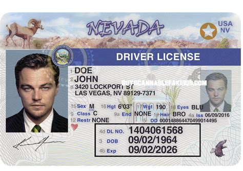 Nevada Fake Driver License Scannable V1 Buy Scannable Fake Id Best