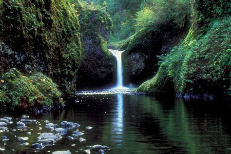 It is an area with many creatures and species and provides the earth with many benefits. Rainforest Weather & Climate | Sciencing