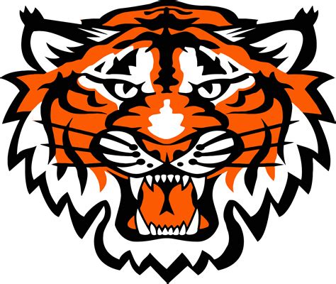 Angry Tiger Cartoon Png / Vector Tiger Animal Line Art Black And White png image
