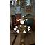Baroque Budapest  Entryway Tables Ceiling Lights Decor