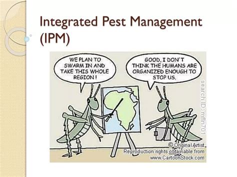 Ppt Integrated Pest Management Ipm Powerpoint Presentation Free