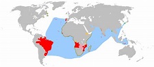 L'Ultima Thule: L'impero portoghese alla sua massima espansione. Mappe.