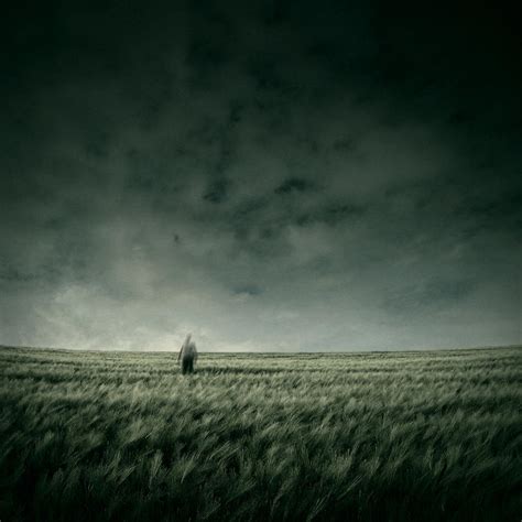 Field Of The Lonely One By Theflickerees On Deviantart