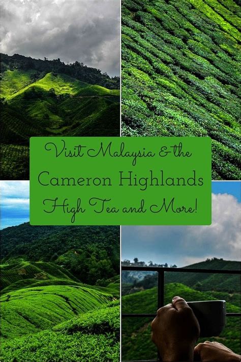 The main attractions here are the english gardens, greenhouse research, and the strawberry production area. Malaysia, Cameron Highlands - High Tea and More