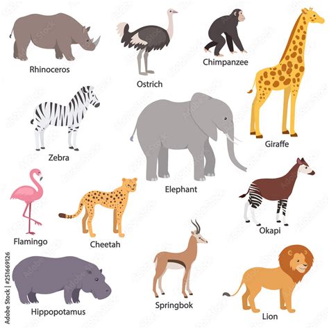 African Animals Set With Titles Wildlife Africa Rhinoceros Ostrich