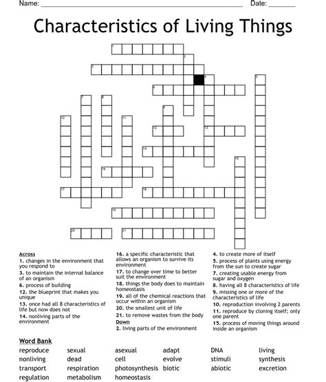 Characteristics Of Living Things Crossword Wordmint