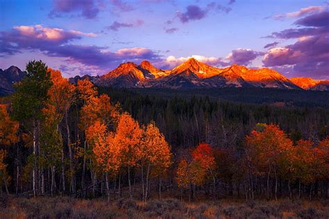 Beautiful Autumn Sunrise Range Idaho Usa Idaho Usa Bonito Forests