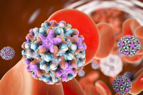 Hepatitis C Ya Realizan Test De Detecci N Gratuita En Hospitales De Todo El Pa S Red