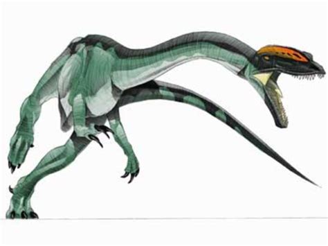 Liliensternus Jurassic Park Wiki Fandom Prehistoric Animals