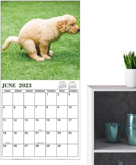 Dogs Pooping Calendar 2024 2024 Calendar Printable