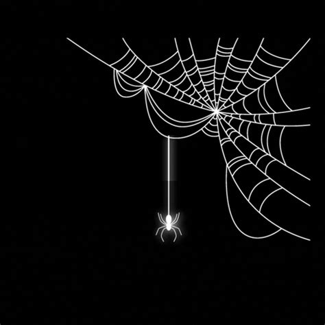 Spider Web GIFs Find Share On GIPHY