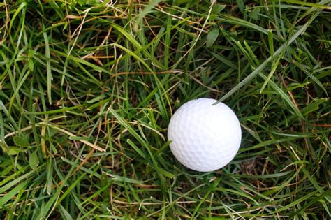 Poa Annua Vs Bentgrass Greens How They Differ And Whats Better